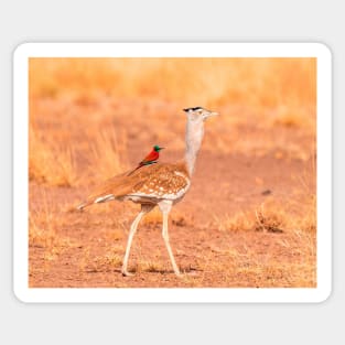 lazy bird riding ostrich Sticker